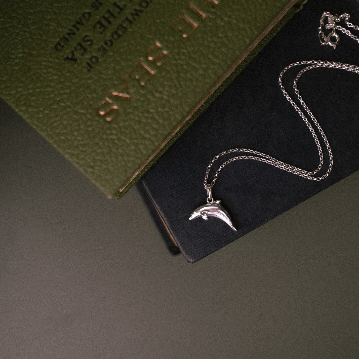 Silver Dolphin Charm Necklace