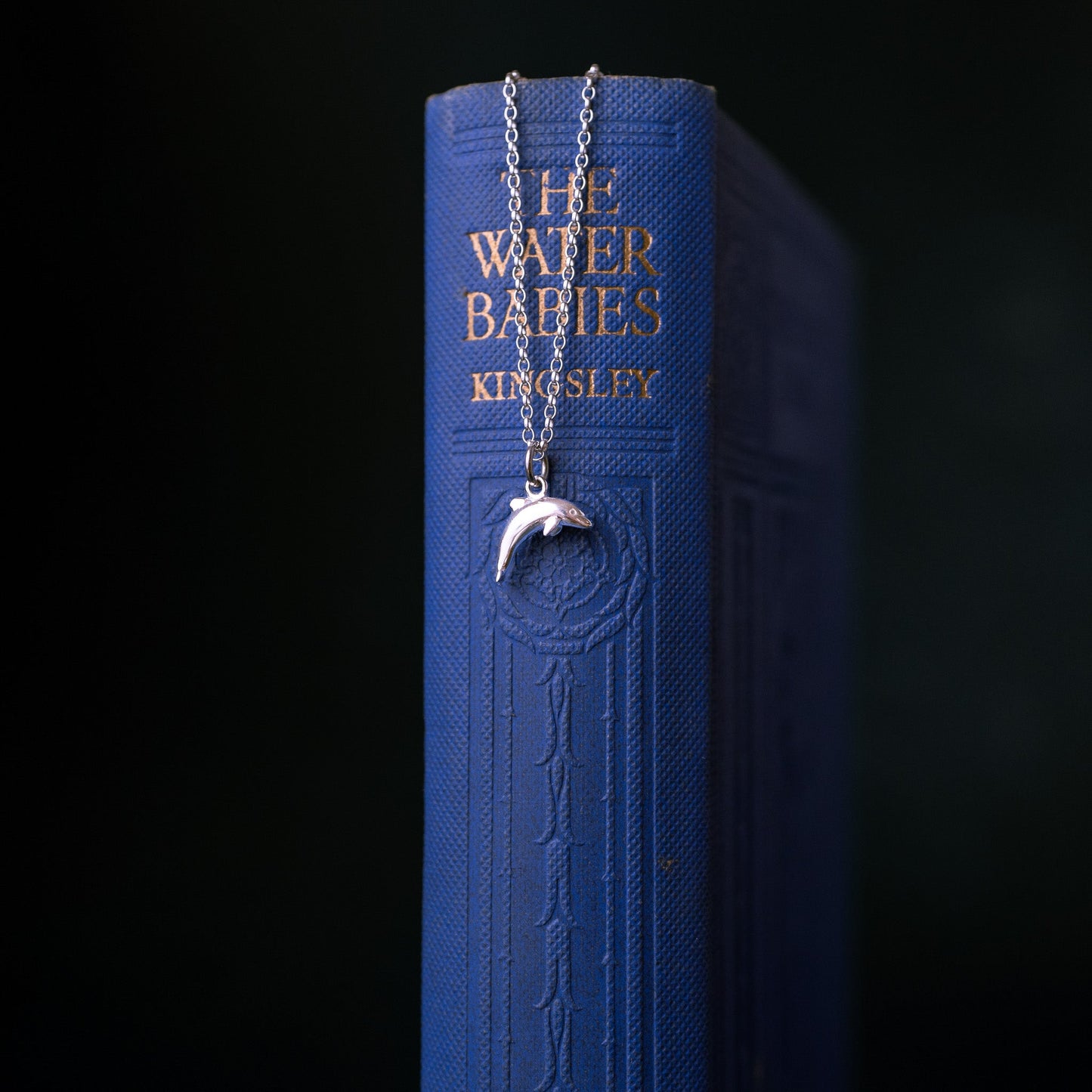 Silver Dolphin Charm Necklace