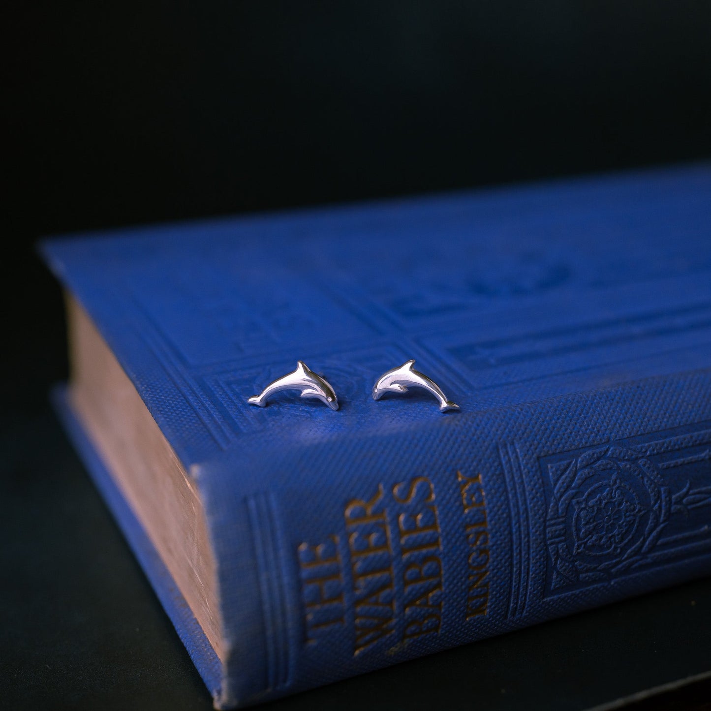 Silver Dolphin Stud Earrings