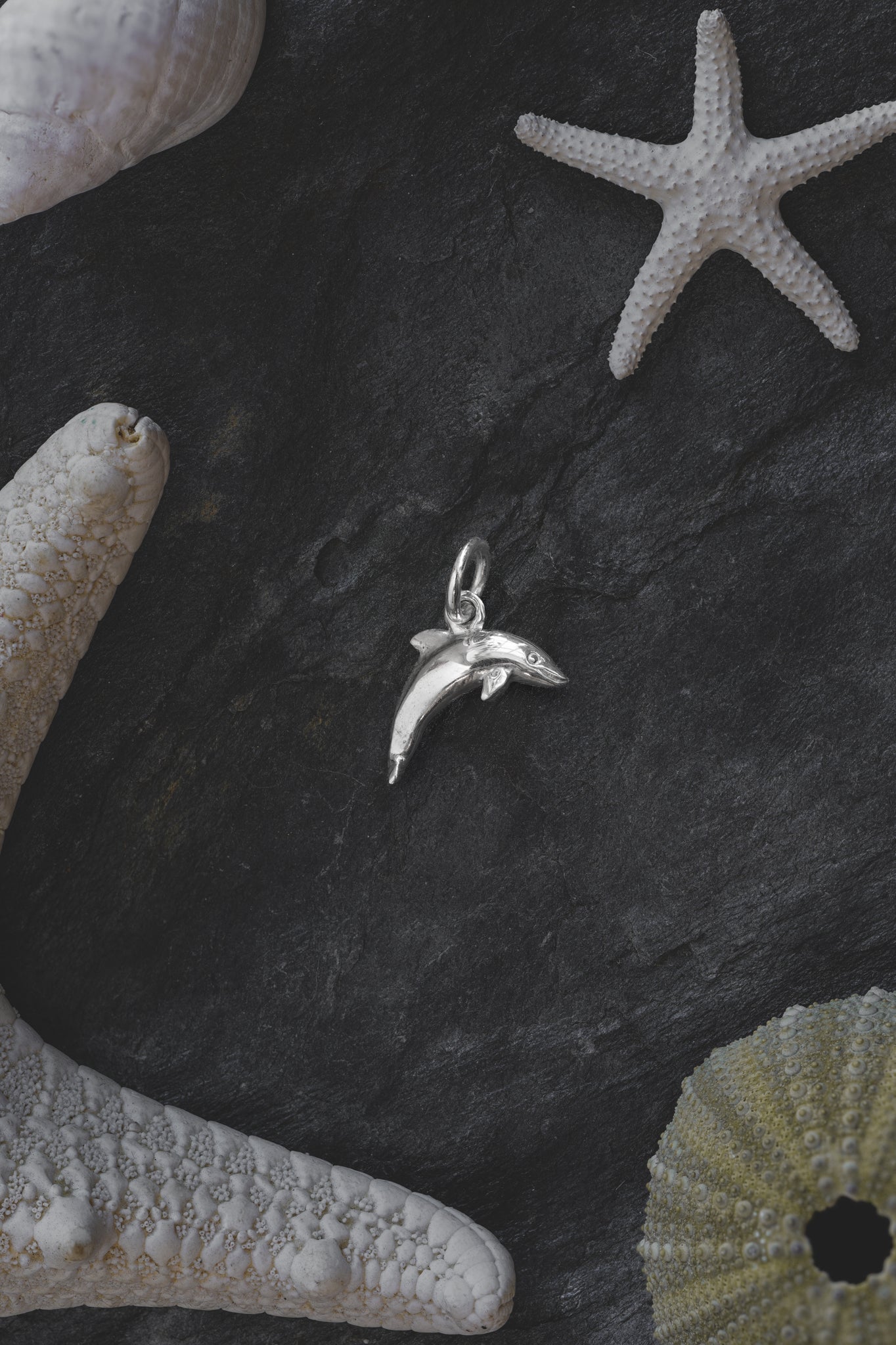 Silver Dolphin Charm Necklace