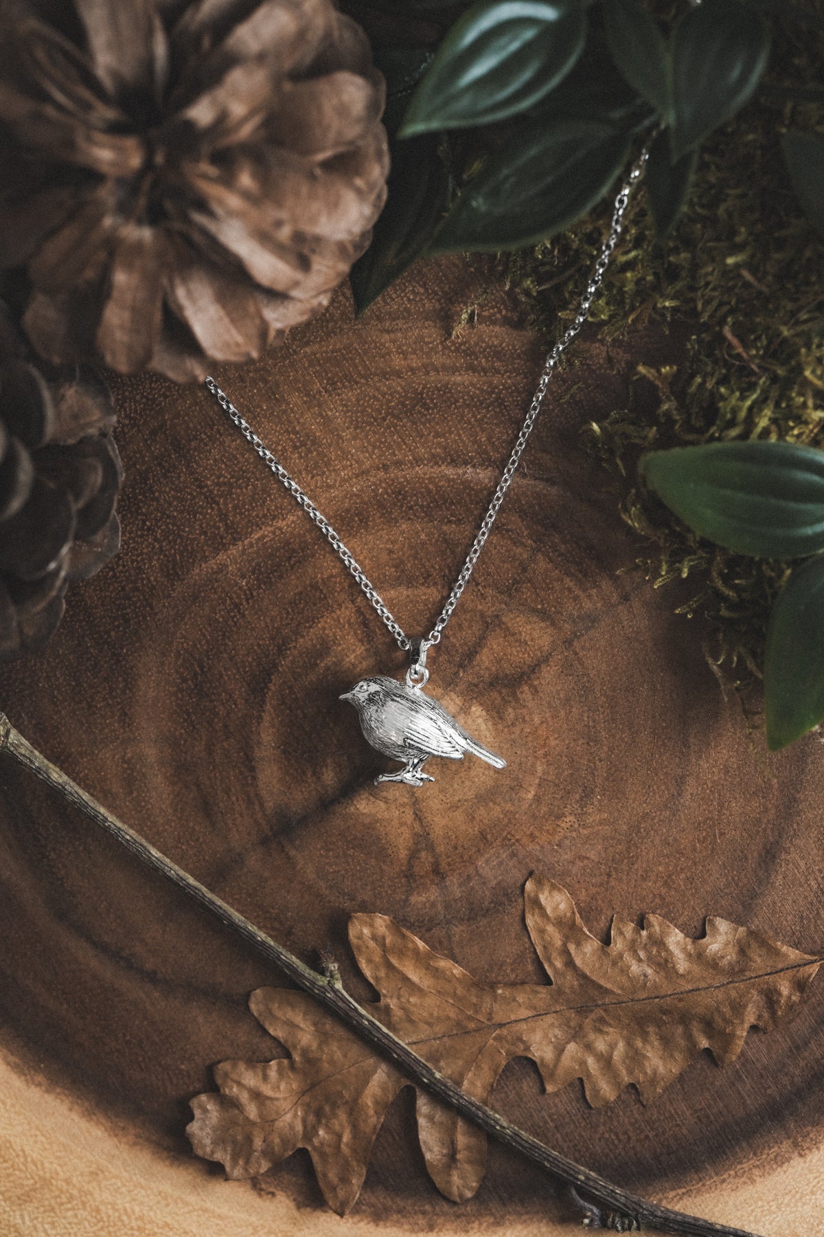 Robin Silver Pendant Necklace
