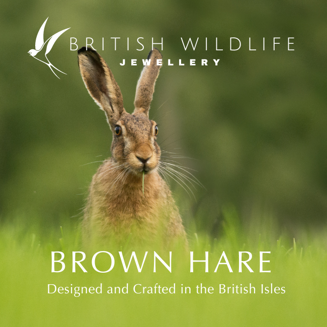 Sterling Silver Running Hare Stud Earrings