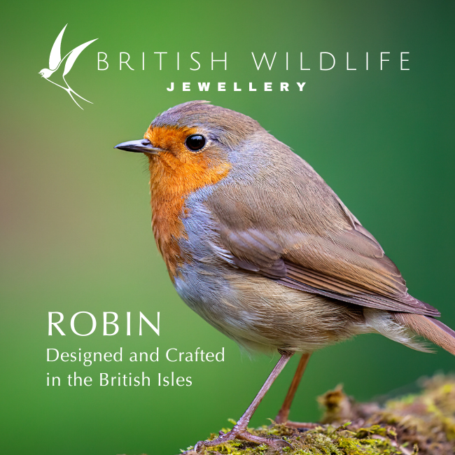 Robin Silver Pendant Necklace