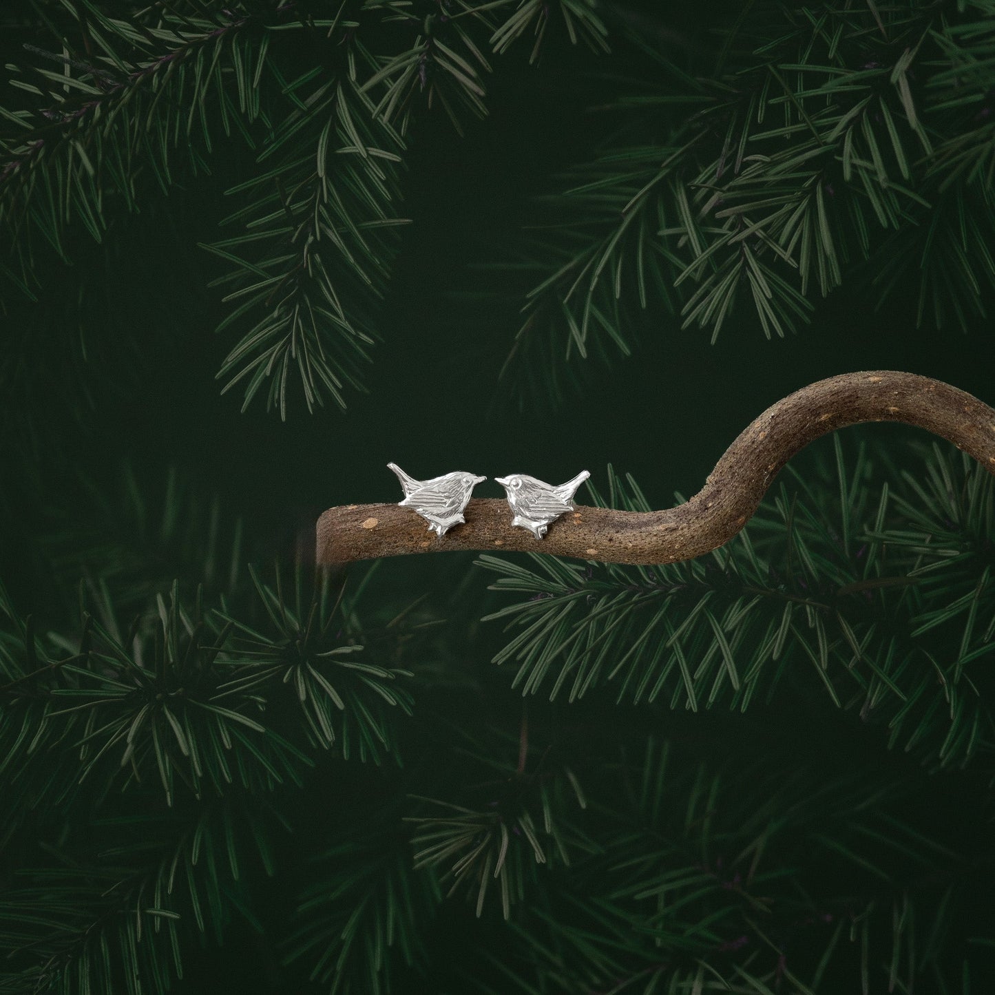 Wren Silver Stud Earrings