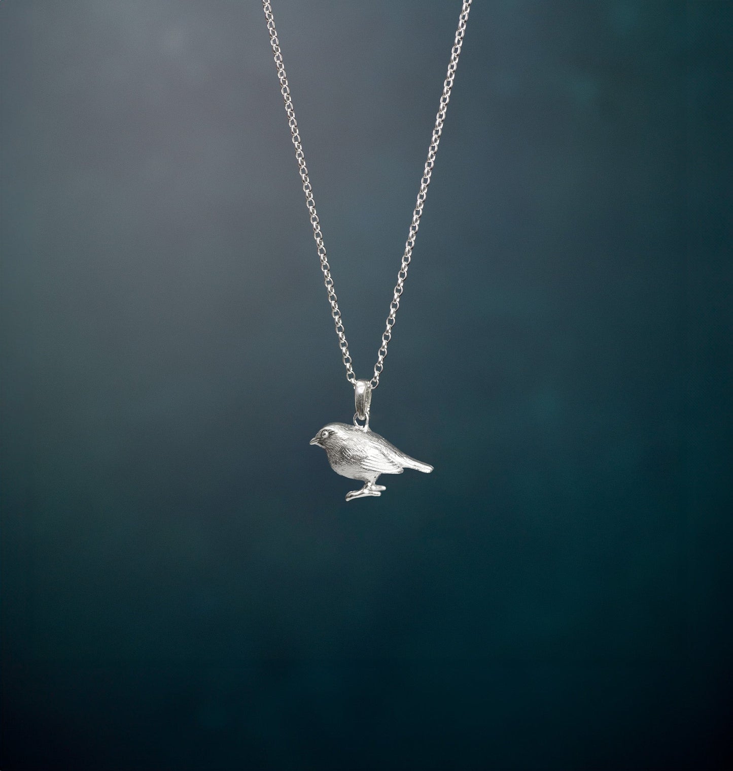 Robin Silver Pendant Necklace