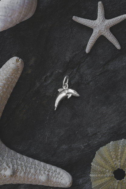 Silver Dolphin Charm Necklace