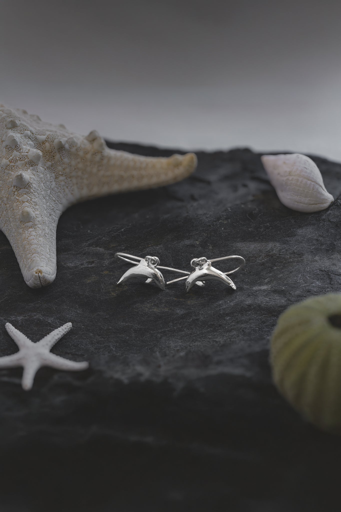 Sterling Silver Dolphin Earrings