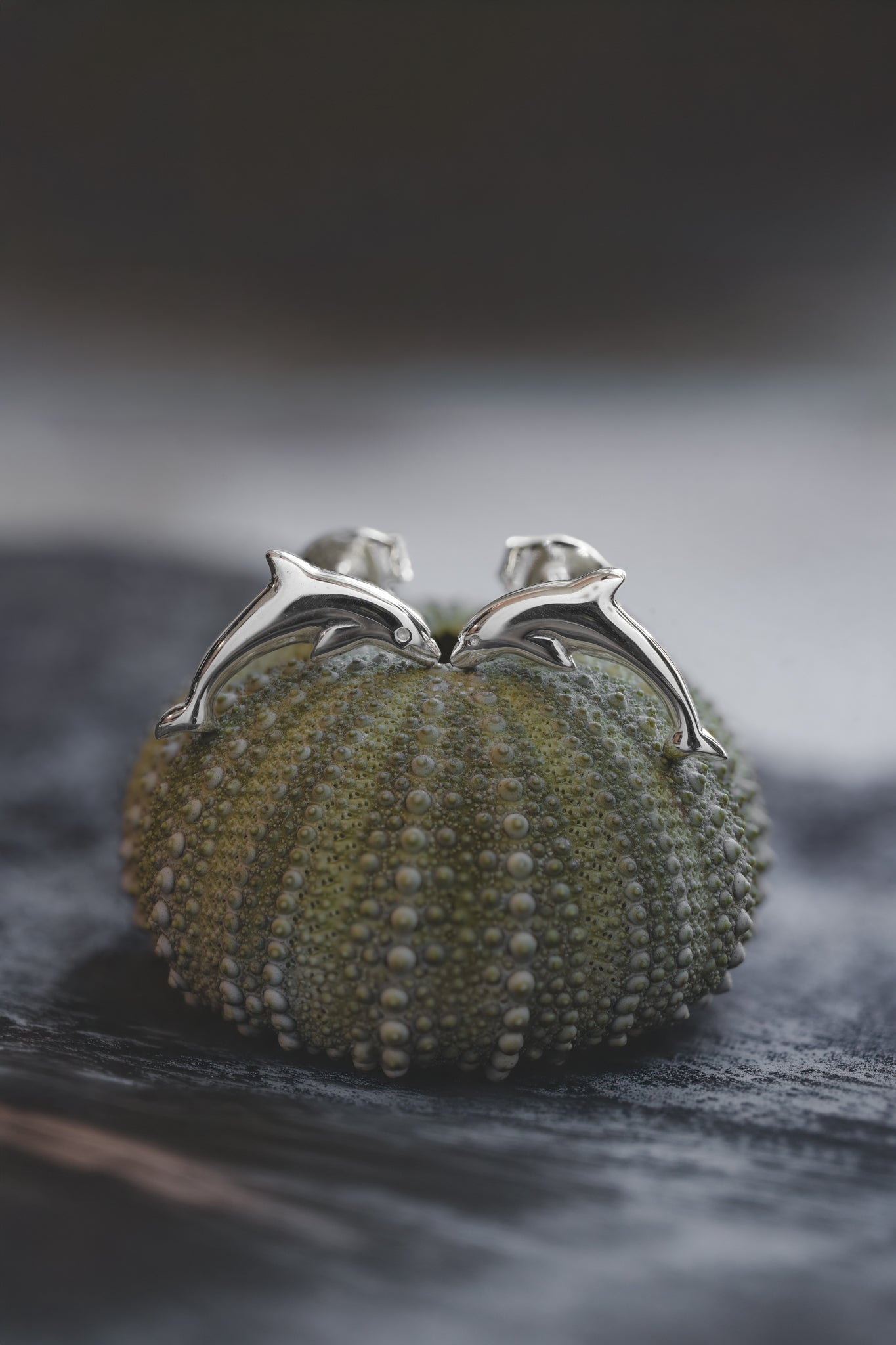 Silver Dolphin Stud Earrings