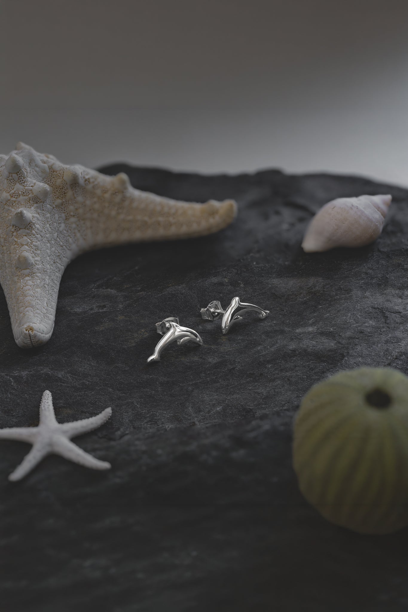 Silver Dolphin Stud Earrings
