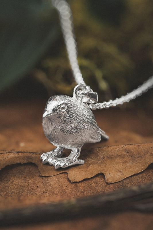 Robin Silver Pendant Necklace