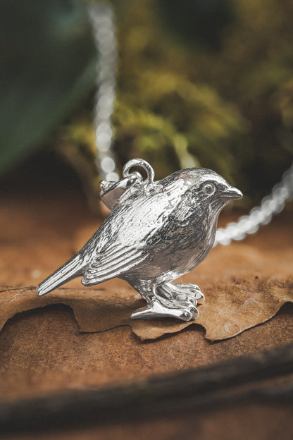 Robin Silver Pendant Necklace