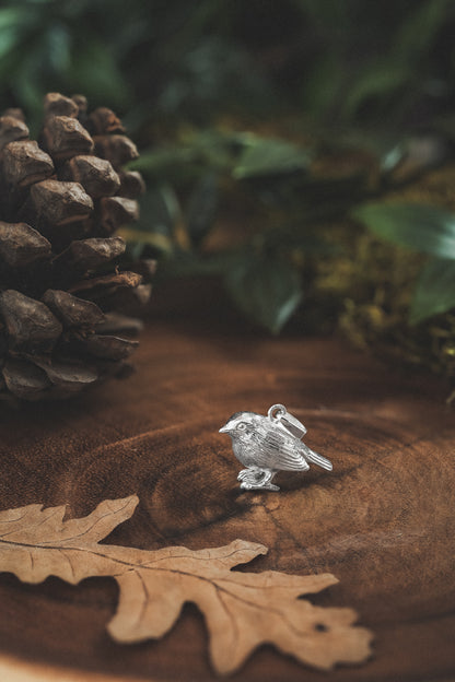 Robin Silver Pendant Necklace