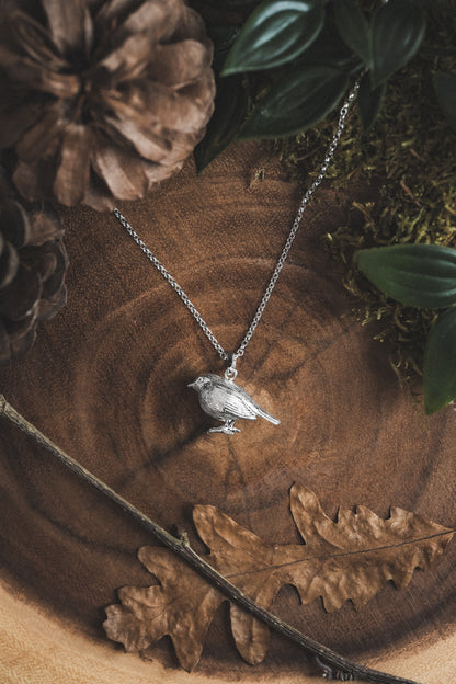 Robin Silver Pendant Necklace